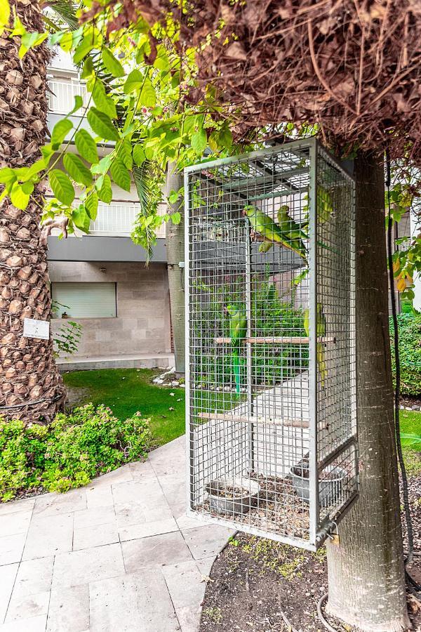 Garden & Pool דירה *